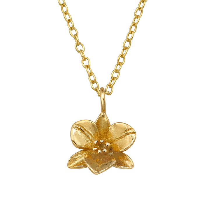 Joy|S - Zilveren orchidee hanger (10 mm) met ketting - 45 cm - bloem - gold plated